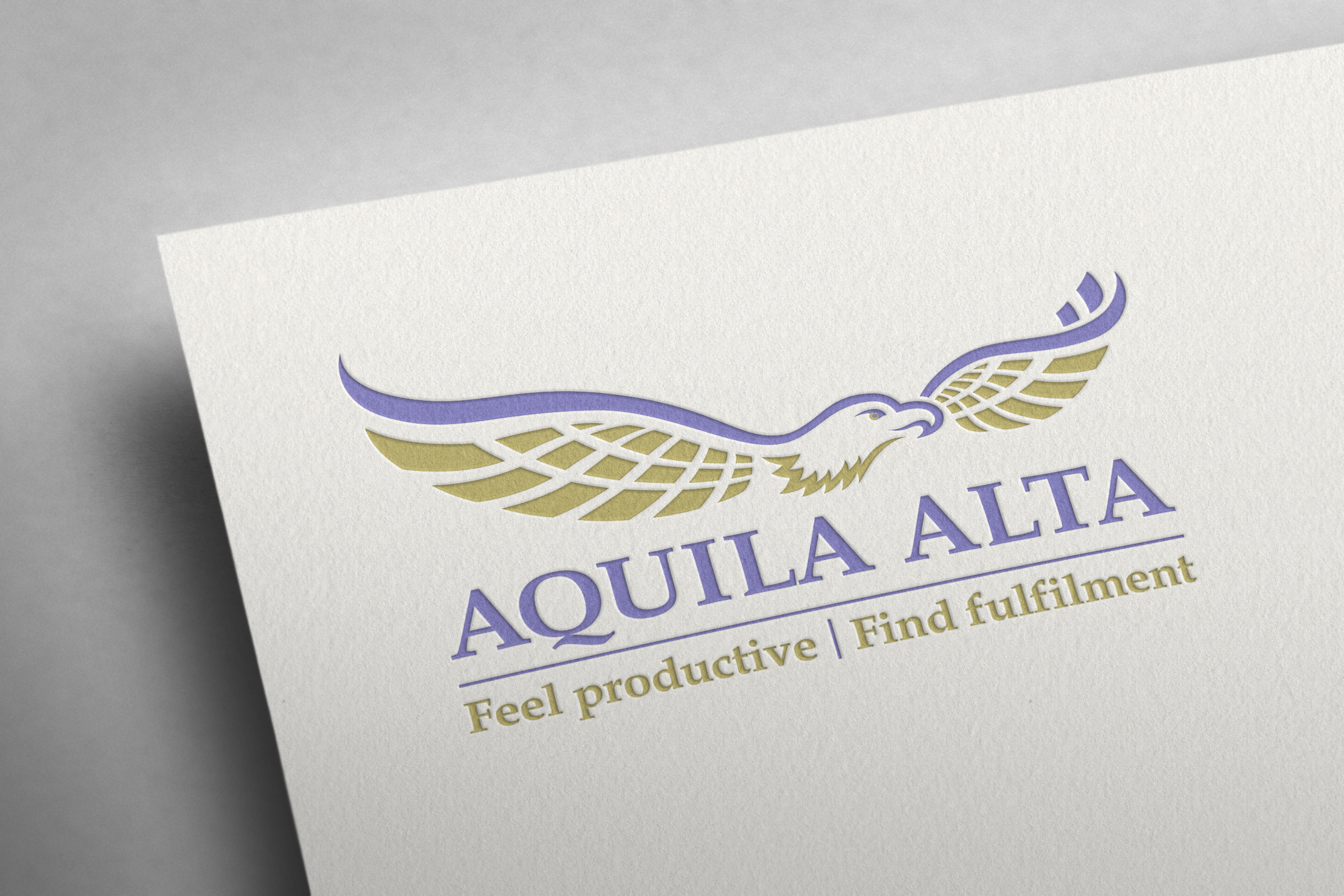 Logo, Web & Graphic Designer, Website SEO Marketing Specialist & Content Creator, Digital Printer for Aquila Alta business productivity