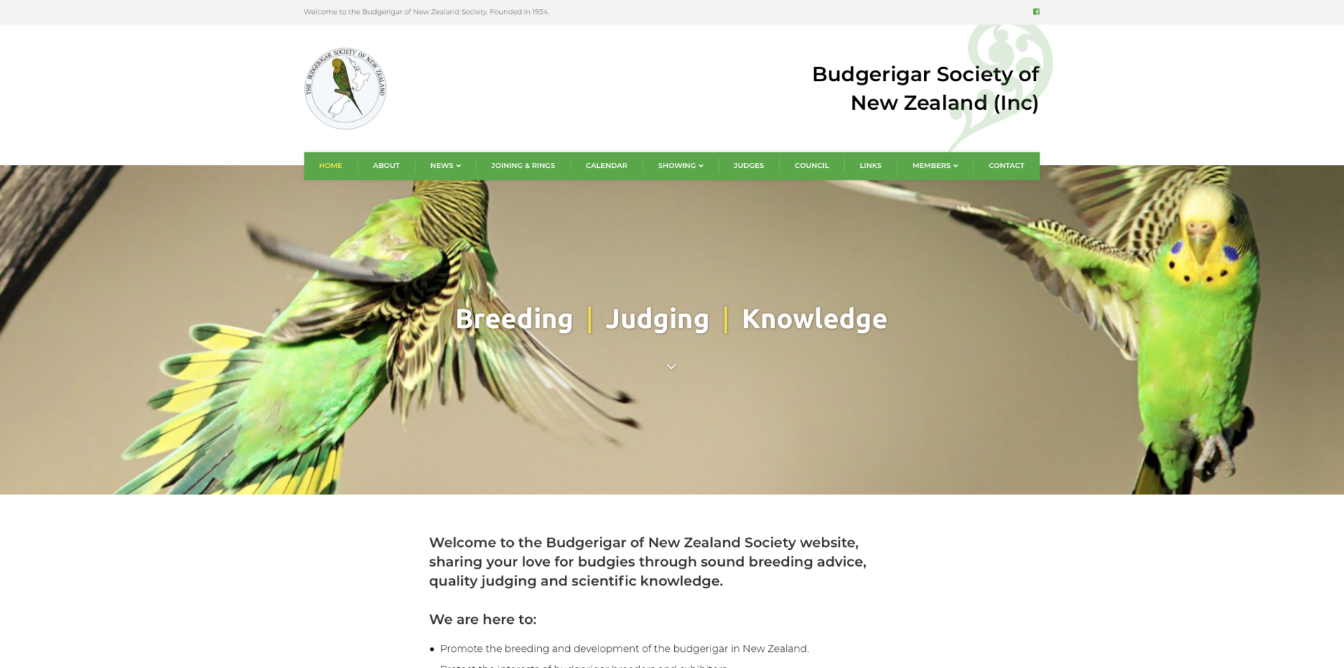 Budgerigar Society of NZ - website design and development with vivid green colours symbolizing the the vibrant colours of the bird's feathers. Based in Weedons, Selwyn and Christchurch. This is WordPress website design trying to show you there is more to breeding birds than you think