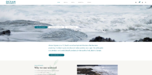 Ocean Organics New Zealand - website design and development with turquoise ocean colours symbolizing eco-sea. A business based in Waikato. This is WordPress website design trying to show you what good can come from the sea